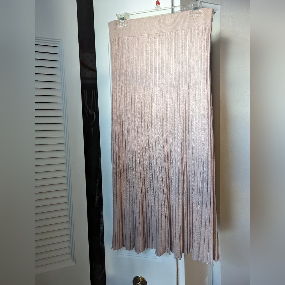 H&M Pleated Skirt